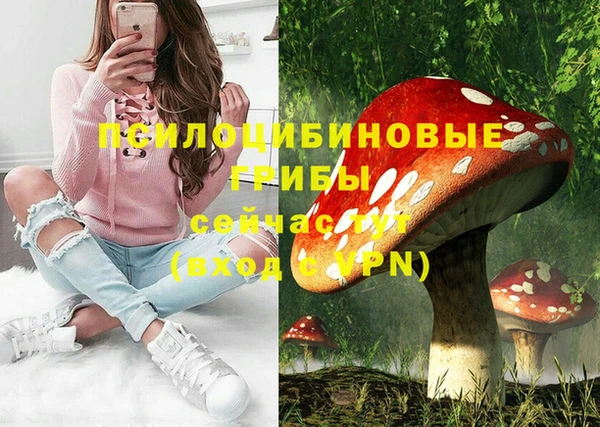 каннабис Новозыбков
