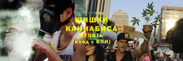 бошки Няндома