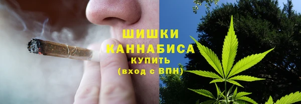 бошки Няндома