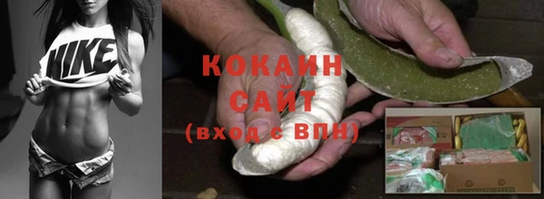 ешки Новодвинск