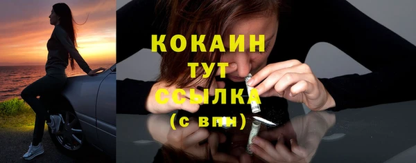бошки Няндома