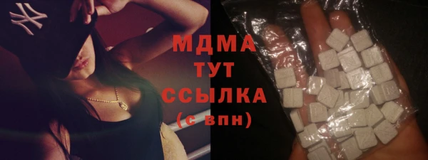 индика Пенза