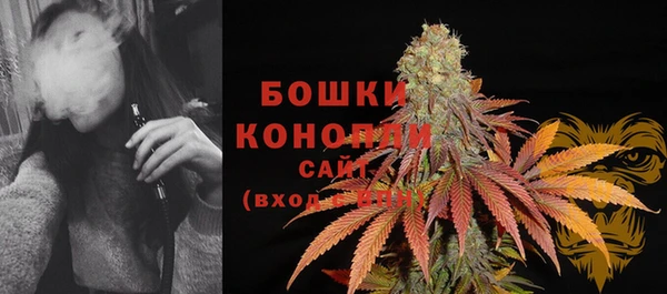 бошки Няндома